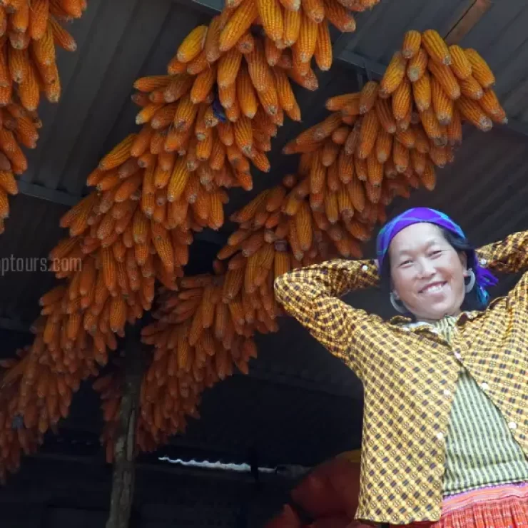 Golden Corn Strands Hanging by the Eaves