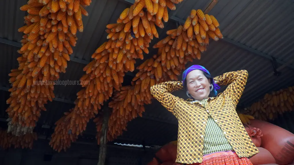 Golden Corn Strands Hanging by the Eaves